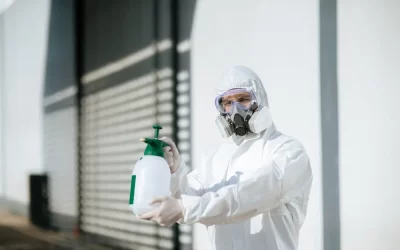 Como a dedetização pode proteger seu negócio em Copacabana