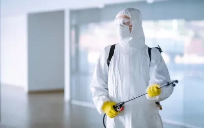 Dedetizadora no Rio de Janeiro: As Soluções Mais Eficientes para Pragas no inverno Carioca