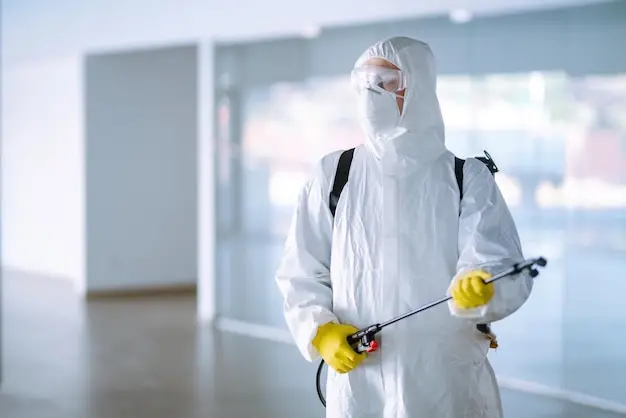 Dedetizadora no Rio de Janeiro: As Soluções Mais Eficientes para Pragas no inverno Carioca