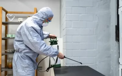 Dedetizadora no Rio de Janeiro: Como Eliminar Baratas, Ratos e Insetos com Segurança profissional