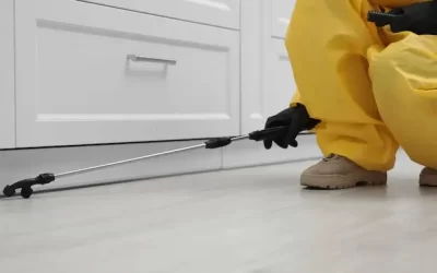 Dedetizadora no Rio de Janeiro: Conheça os Perigos das Pragas Urbanas e Como se Proteger