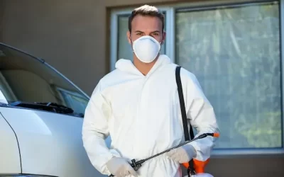 Dedetizadora no Rio de Janeiro: Cuidados Essenciais Após a Dedetização de Casas com crianças