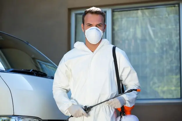 Dedetizadora no Rio de Janeiro: Cuidados Essenciais Após a Dedetização de Casas com crianças