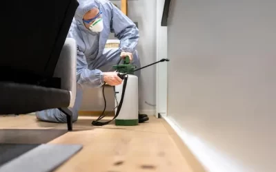 Dedetizadora no Rio de Janeiro: Por que os Condomínios Precisam de Controle de Pragas Regular