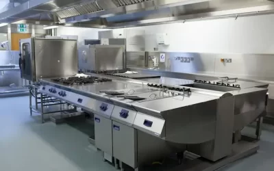 Dedetização Profissional em Cozinhas Industriais: Segurança e Higiene para seu Restaurante