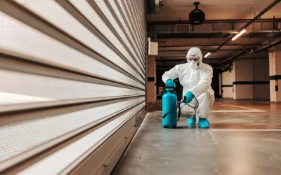 Controle de pragas em condomínios: o papel essencial do síndico na prevenção