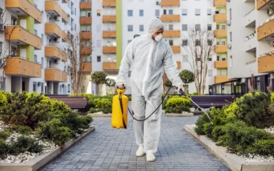 Por que condomínios devem manter contratos regulares de controle de pragas