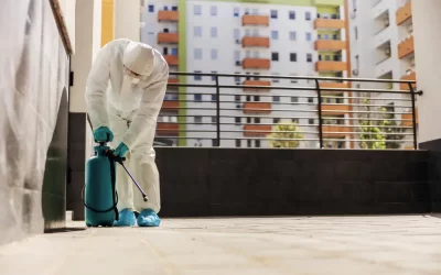 Temporada de chuvas e calor: como preparar o condomínio contra o aumento das pragas