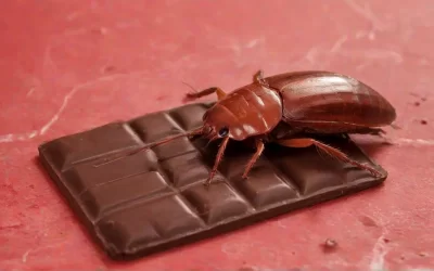 Controle Integrado de Pragas (CIP): Como funciona e por que reduz custos a longo prazo?