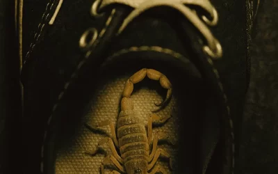 Sinais Invisíveis de Infestação: O que o controle de pragas identifica antes do problema aparecer?