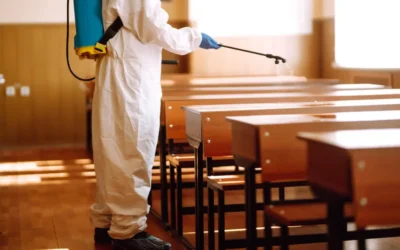 Controle de Pragas em Colégios e Creches: Riscos Sanitários que Exigem Atenção Permanente