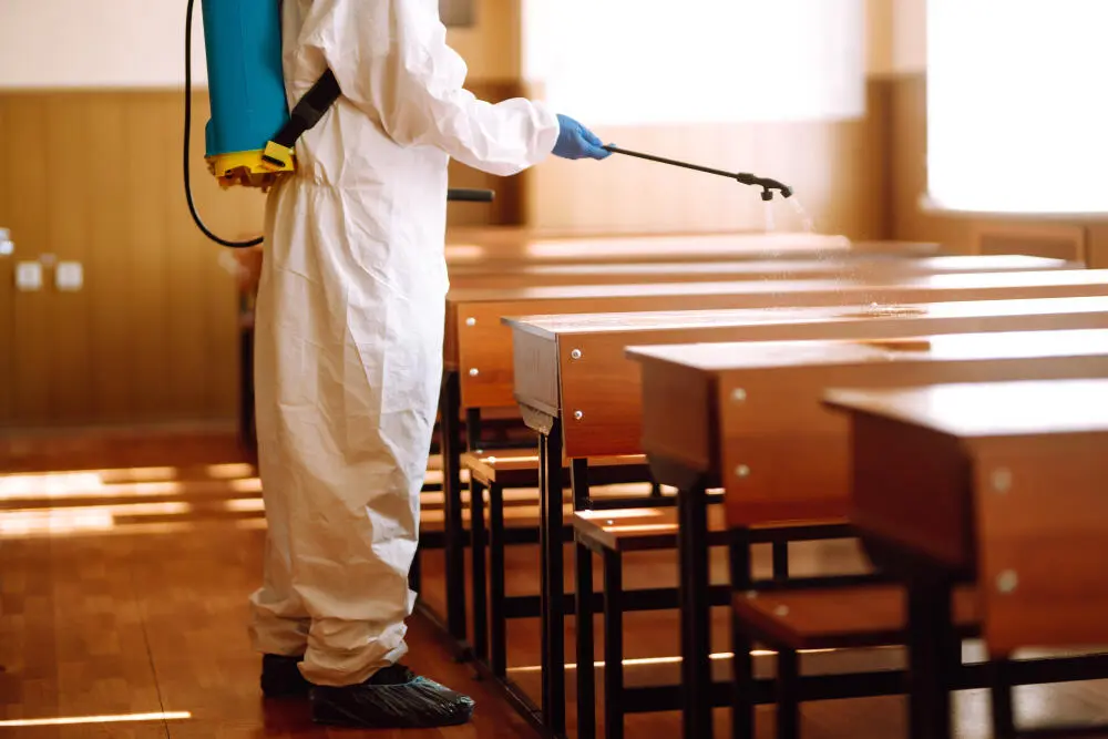 Controle de Pragas em Colégios e Creches: Riscos Sanitários que Exigem Atenção Permanente