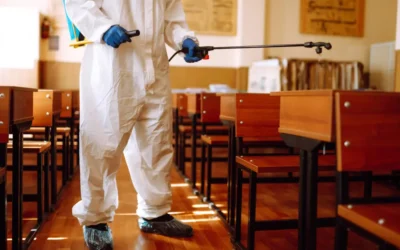 Controle Integrado de Pragas em Escolas: Segurança, Conformidade e Tranquilidade para Pais e Gestores