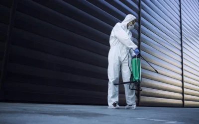 Infestações em Escolas Começam em Áreas Comuns e Técnicas