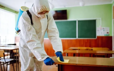 Por Que Escolas Não Devem Esperar a Infestação para Contratar o Controle de Pragas