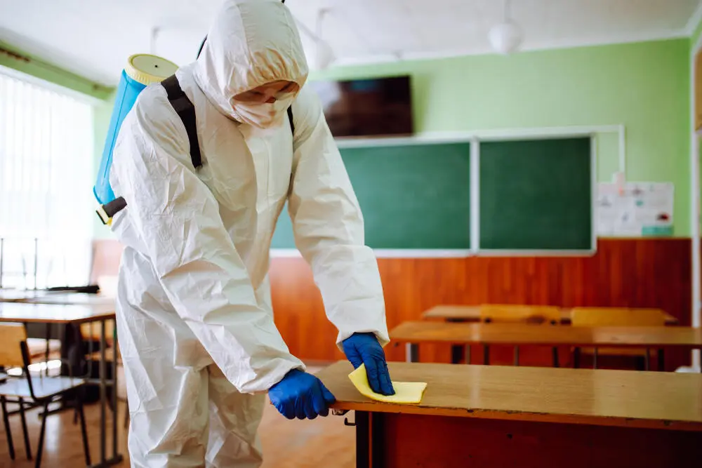 Por Que Escolas Não Devem Esperar a Infestação para Contratar o Controle de Pragas