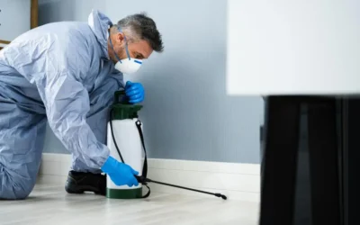 Controle de Pragas em Empresas no Recreio dos Bandeirantes: Como Evitar Autuações e Prejuízos