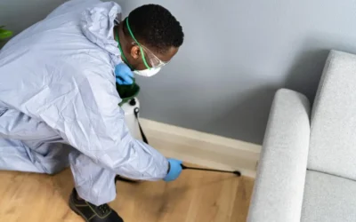 Controle de Pragas na Barra da Tijuca: Prevenção Técnica para Condomínios e Empresas