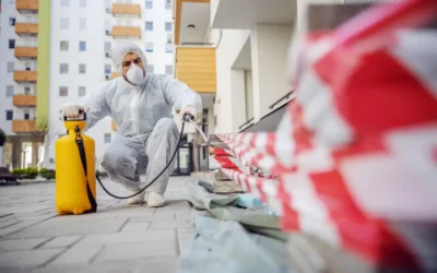 Controle de Pragas no Recreio dos Bandeirantes: Soluções Profissionais para Ambientes Residenciais e Comerciais