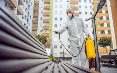 Infestações Recorrentes no Recreio dos Bandeirantes: Falhas Comuns no Controle de Pragas