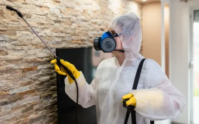 Como o Síndico Pode Evitar Infestações Recorrentes com um Controle de Pragas Eficiente