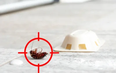 Controle de Pragas em Estoques: Como Evitar Perdas Invisíveis e Contaminações