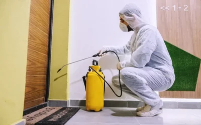 Cozinhas, Bares e Áreas Externas: Pontos Críticos no Controle de Pragas em Clubes