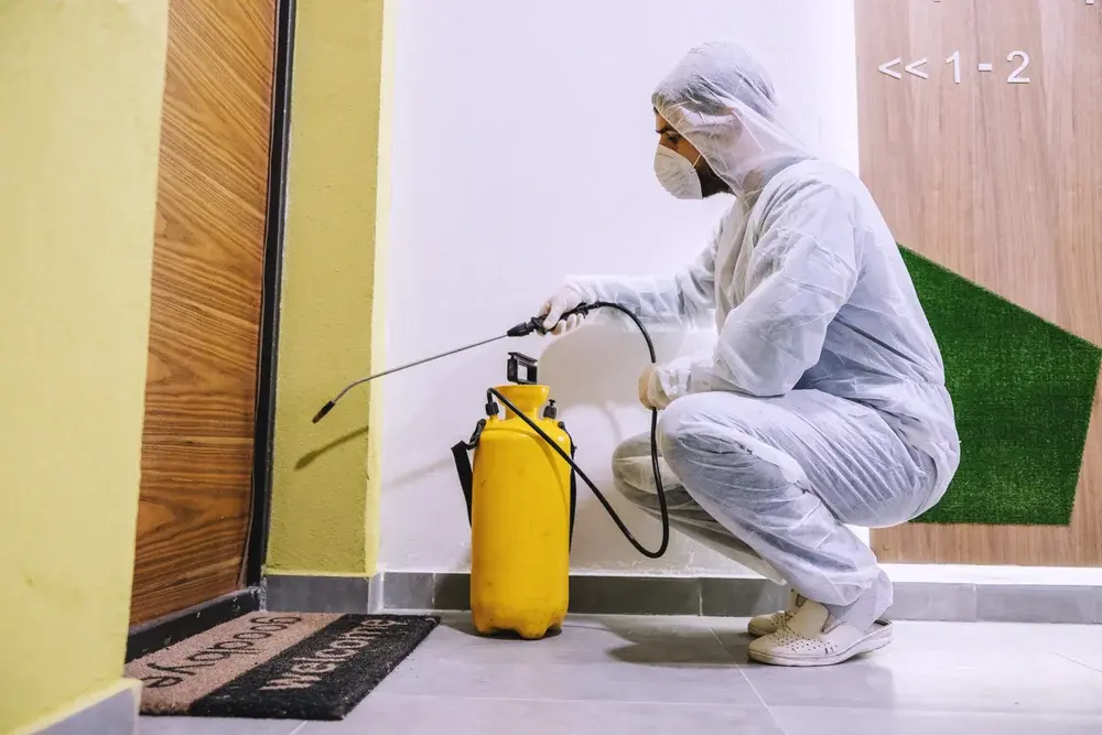 Cozinhas, Bares e Áreas Externas: Pontos Críticos no Controle de Pragas em Clubes Cozinhas, Bares e Áreas Externas: Pontos Críticos no Controle de Pragas em Clubes