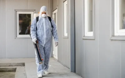 Infestação em Estoques Começa na Rotina: O Papel do Controle de Pragas