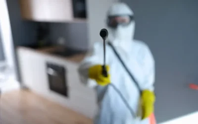 Controle Preventivo de Pragas em Áreas Externas: Como Evitar Baratas, Ratos e Mosquitos